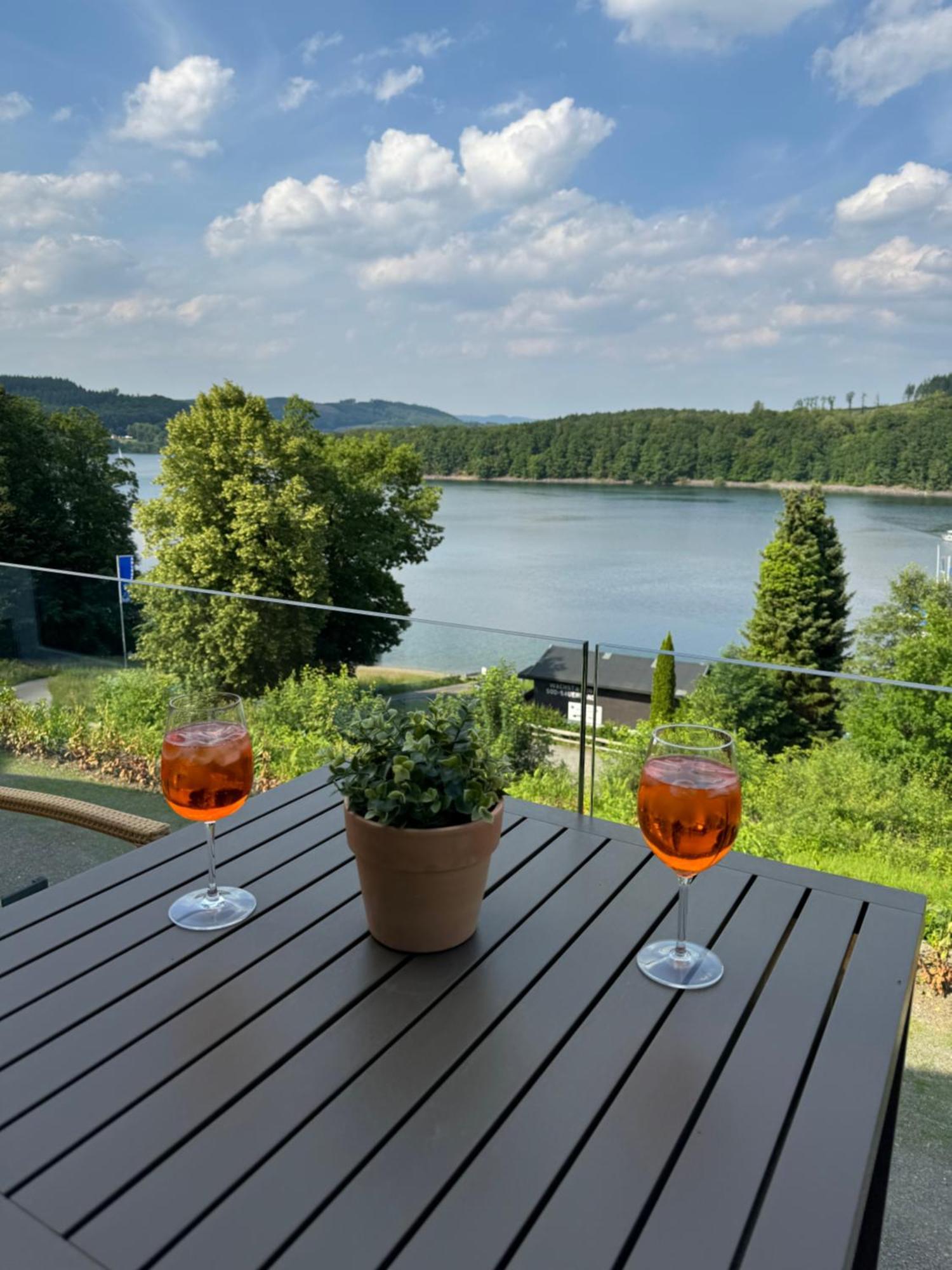 Ommi Kese See-Suite Sauna Biggesee Olpe bei Meschede Екстериор снимка